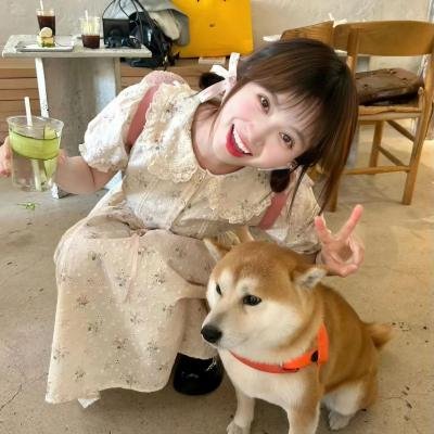 追缉